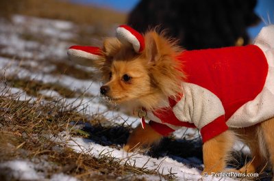 Jan24_08_066.JPG