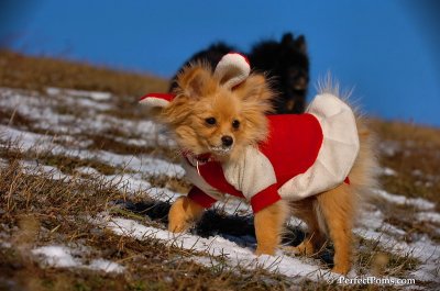 Jan24_08_067.JPG