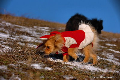 Jan24_08_069.JPG