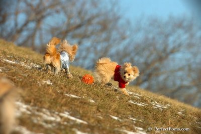 Jan24_08_072.jpg