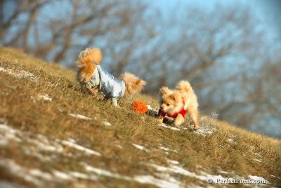 Jan24_08_073.jpg