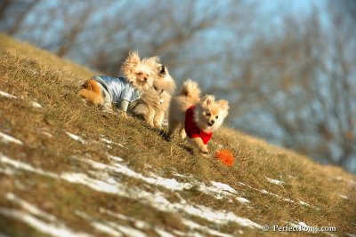 Jan24_08_076.jpg