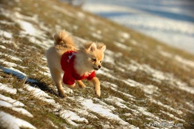 Jan24_08_078.jpg
