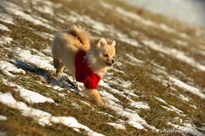 Jan24_08_079.jpg