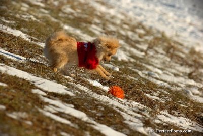 Jan24_08_080.jpg