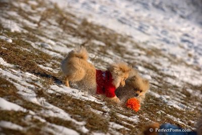 Jan24_08_083.jpg