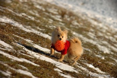 Jan24_08_084.jpg