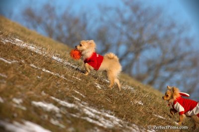 Jan24_08_087.JPG