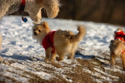 Jan24_08_090.JPG