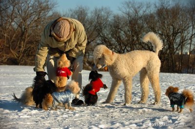 Jan24_08_093.JPG