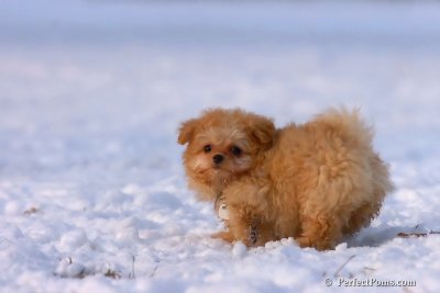 Jan28_08_200.jpg