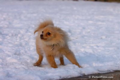 Jan28_08_202.jpg