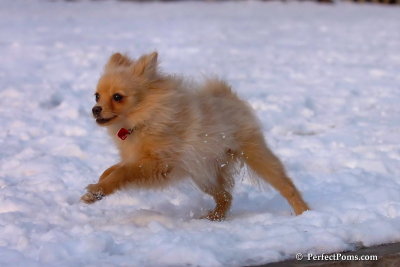 Jan28_08_203.jpg