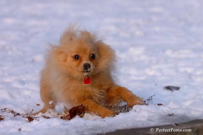 Jan28_08_219.jpg