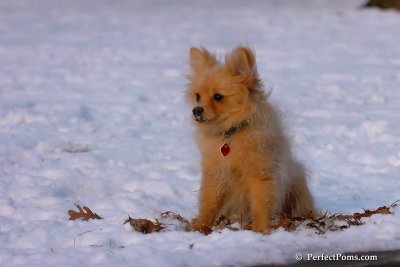 Jan28_08_220.jpg