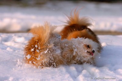 Jan28_08_223.jpg