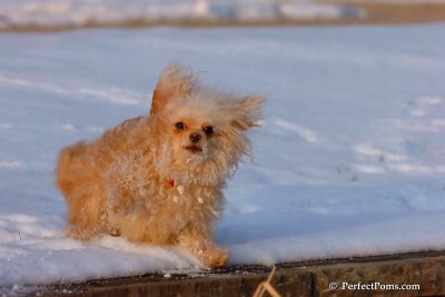 Jan28_08_228.jpg