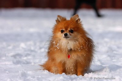 Jan28_08_009.jpg