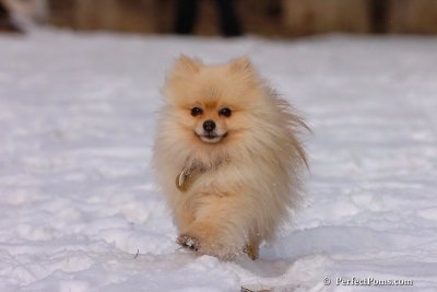 Jan28_08_017.jpg