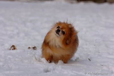 Jan28_08_026.jpg