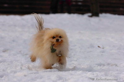 Jan28_08_030.jpg