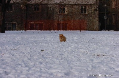 Jan28_08_041.JPG