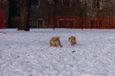 Jan28_08_045.jpg