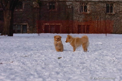 Jan28_08_047.jpg