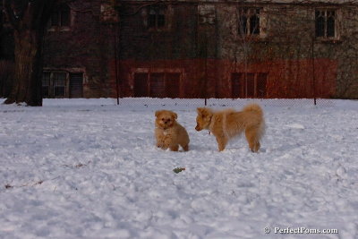 Jan28_08_048.jpg