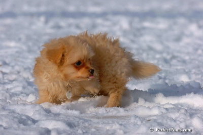 Jan28_08_050.jpg
