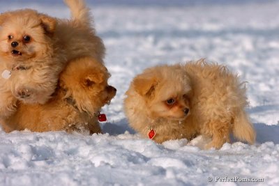 Jan28_08_059.jpg