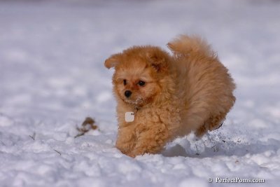 Jan28_08_070.jpg