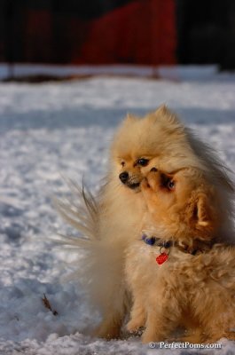 Jan28_08_087.JPG