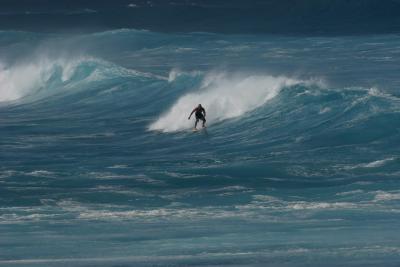 Lone Maui Surfer