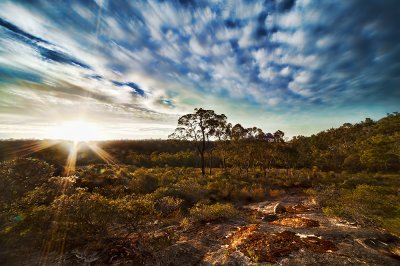 John Forest National Park Western Australia