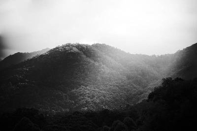 Shaft of light