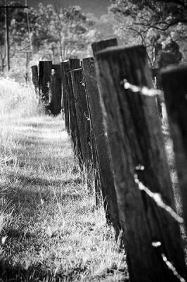 Fence black and white
