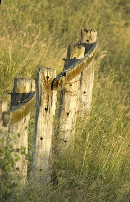 Old fence