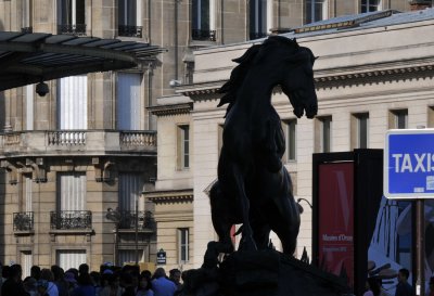DSC_0270.jpg