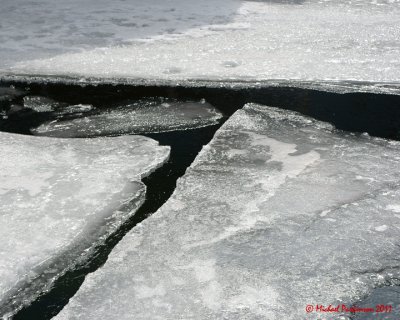 Ice Is Nice 02501 copy.jpg
