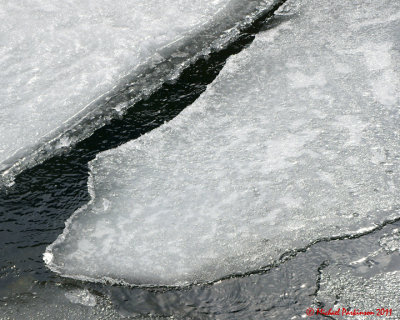 Ice Is Nice 02502 copy.jpg