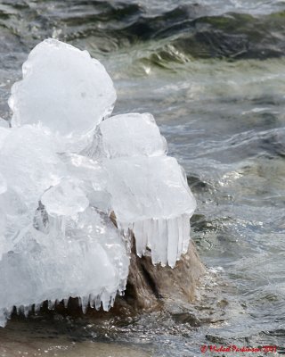 Ice Is Nice 02512 copy.jpg