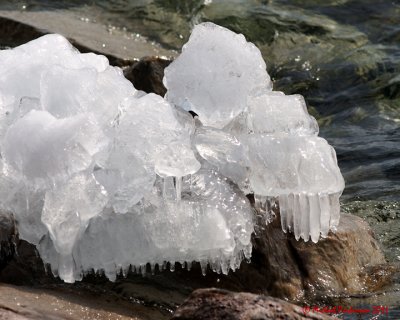 Ice Is Nice 02517 copy.jpg