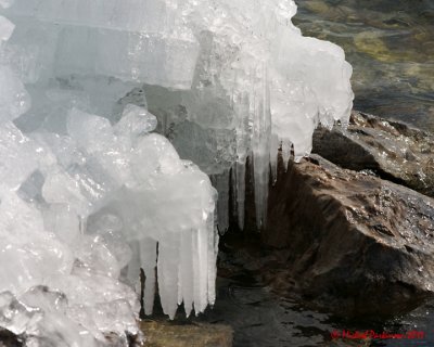Ice Is Nice 02530 copy.jpg