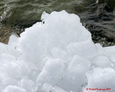 Ice Is Nice 02545 copy.jpg