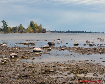 Wolfe Island 04712 copy.jpg