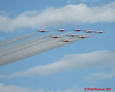 Snowbirds 04640 copy.jpg