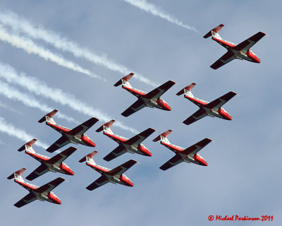 Snowbirds 04675 copy.jpg