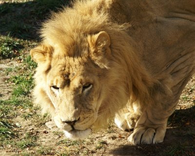 Zoo 09657.JPG