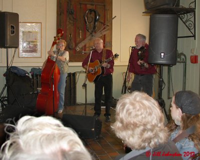 Cold Country Bluegrass 3031.jpg